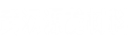 武汉源龙材料